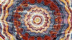 image: image from zygotes