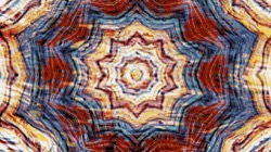 image: image from zygotes