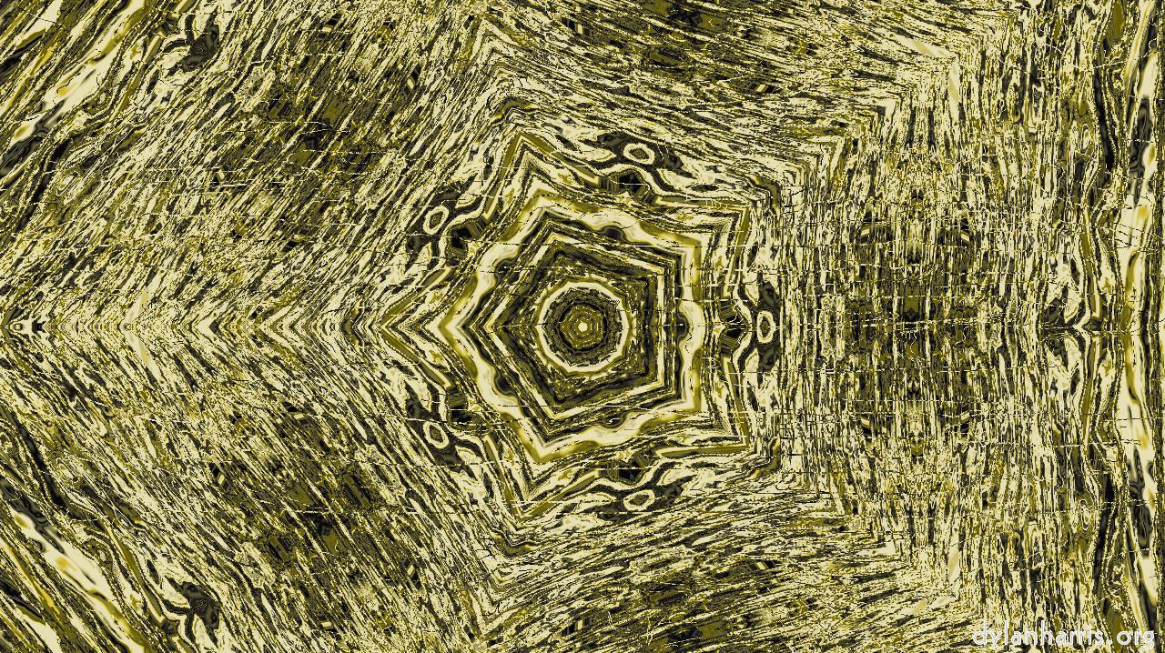 image: a new :: diatom1