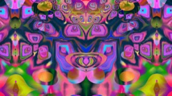 image: image from c new