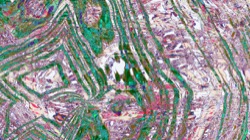 image: image from c new