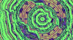 image: image from c new