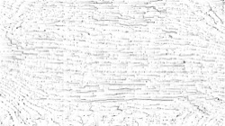 image: image from new 1