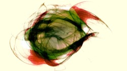 image: image from new 1