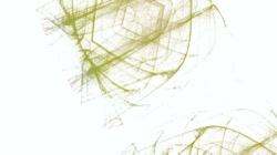 image: image from new 1