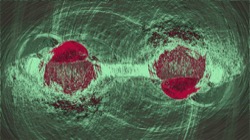 image: image from new 10