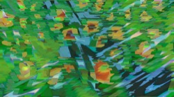 image: image from new 12