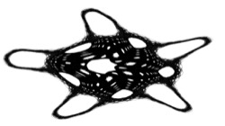 image: image from new 12