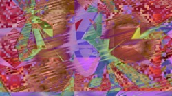 image: image from new 12