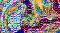 image: image from new 12