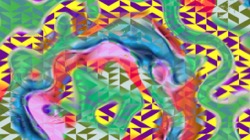 image: image from new 12