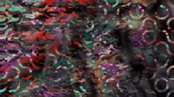 image: image from new 12