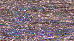 image: image from new 16