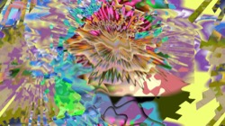 image: image from new 16