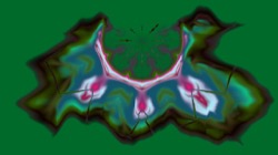 image: image from new 16