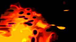 image: image from new 16