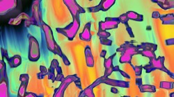 image: image from new 3