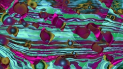 image: image from new 6