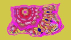 image: image from new 6