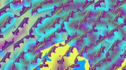 image: image from new 6