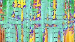 image: image from new 6