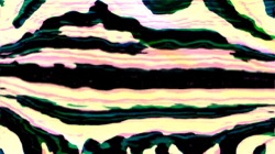 image: image from new 6