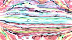 image: image from new 6