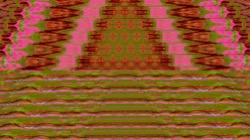 image: image from new 6