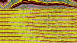 image: image from new 6