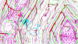 image: image from new 6