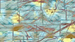 image: image from new 7