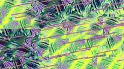 image: image from new 7