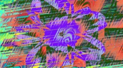 image: image from new 7