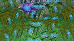 image: image from new 7