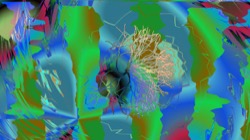 image: image from new 7