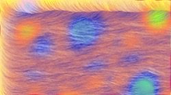 image: image from new 7