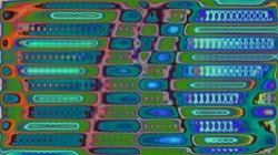 image: image from new 8