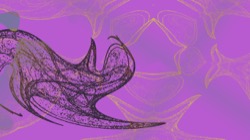 image: image from new 8