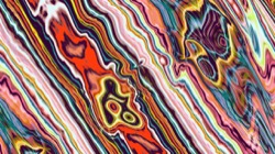 image: image from new 9