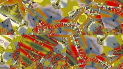 image: image from z1