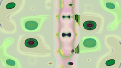 image: image from z1