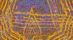 image: image from z2