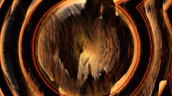 image: image from z2