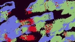 image: image from ztest