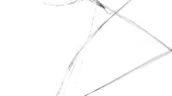 image: image from ztest1