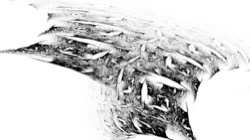 image: image from ztest1