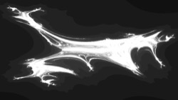 image: image from ztest1