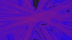 image: image from ztest1