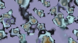 image: image from ztest2