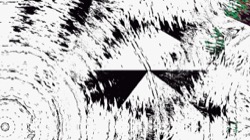 image: image from ztest2